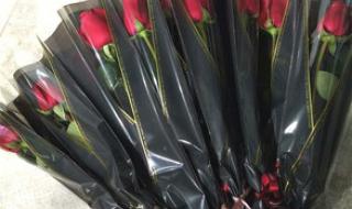 玫瑰花束包装教程 玫瑰花怎么包装